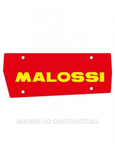 Filtro Aire Malossi Scarabeo 50 - 1411406