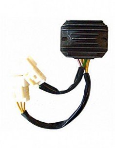 04168312 Regulador Trifase 12V/20A - CC - 5 Cables