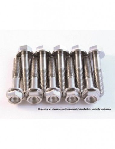 Kit de tornillos para el motor scar titanio - 4460114145