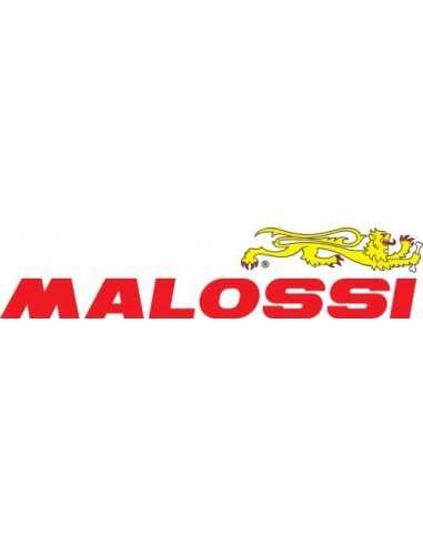 Silenciador tubarro motor mg3 malossi - 16325321