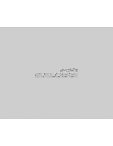 Mordazas de embrague delta clutch Yamaha X-Max 250 - 5212689