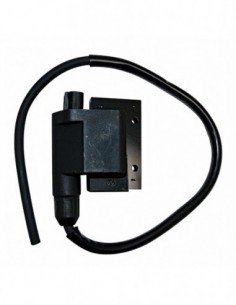 04162422 Bobina de alta tensión Kymco/Peugeot/Piaggio/Sym Con cable y conector 2 mini pin