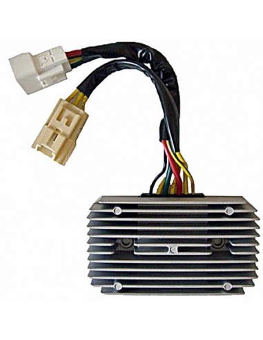 04179275 Regulador 12V - Trifase - CC - 7 Cables Con 2 Conectores
