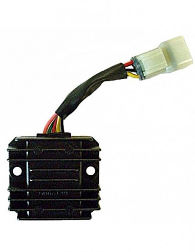 Regulador 12V/10A - Monofase - CC - 5 Cables - Con Conector - 04179162
