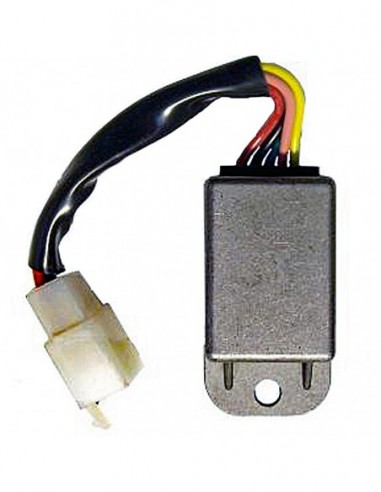 Regulador Monofase 12V/CC - 5 cables con Fastons Mini - 04174724
