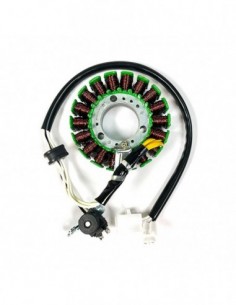Stator SGR Trifase 18 polos con pick-up 2 cables Xcity - 04163077