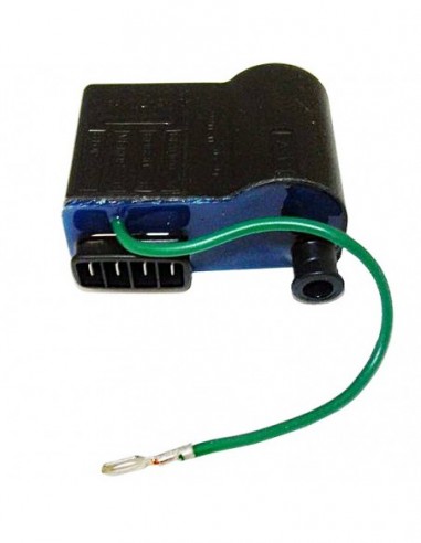 Centralita Electrónica - Con Cable de Masa - 4 Fastons - 04323990